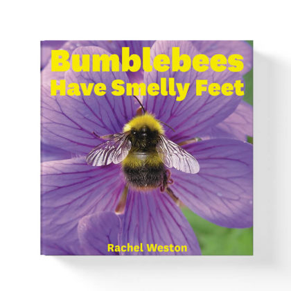 bumblebees have smelly feet book by rachel weston